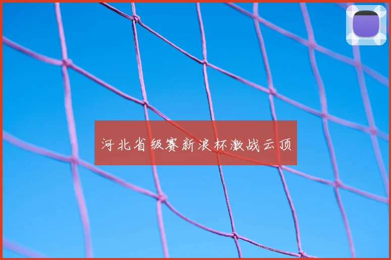 河北省级赛新浪杯激战云顶