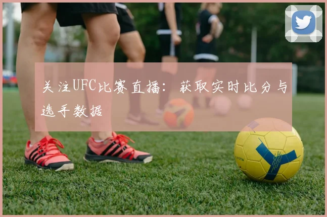 关注UFC比赛直播：获取实时比分与选手数据