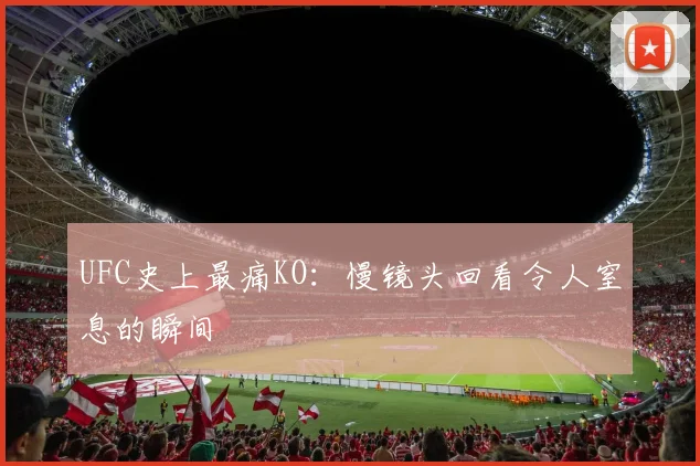 UFC史上最痛KO:慢镜头回看令人窒息的瞬间