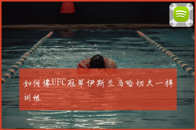 如何像UFC冠军伊斯兰马哈切夫一样训练